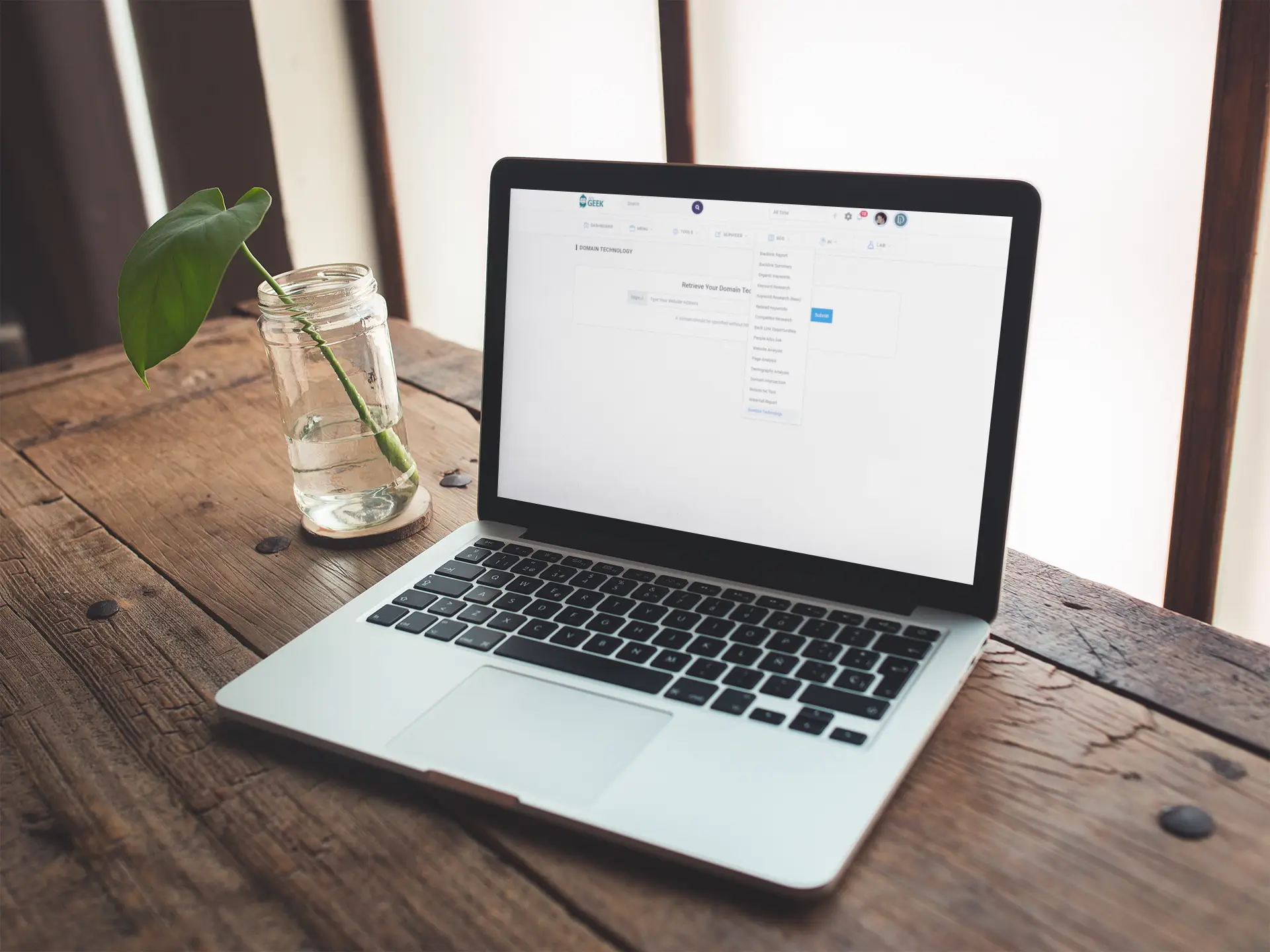 seogeek Domain Technology Tool